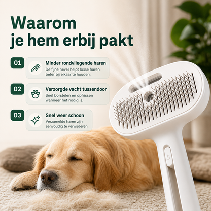 PawBrush™ Pro l  Minder losse haren in huis, meer gemak bij elke borstelbeurt